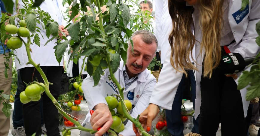 Kocaeli’de topraksız tarımla sebze ve meyve yetiştiriliyor