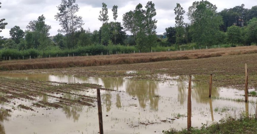 Tarım alanları aşırı yağıştan zarar gördü