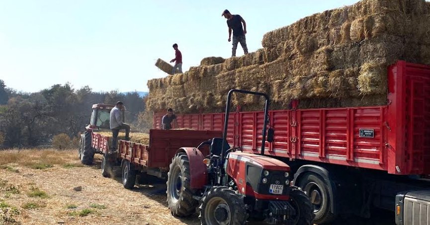 Kocaeli’den, Çanakkale’deki yangın mağduru çiftçilere destek