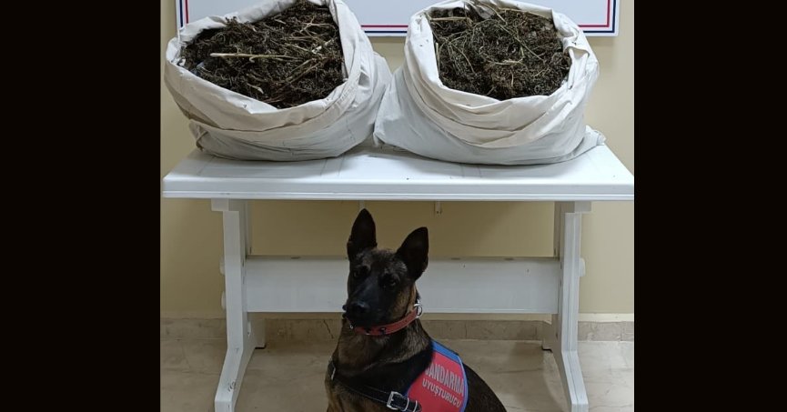 Jendarma ekiplerinden uyuşturucu operasyonu