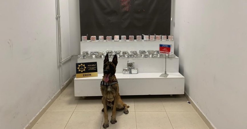 Tır deposuna zulalanmış Eroini Narkotik köpeği buldu