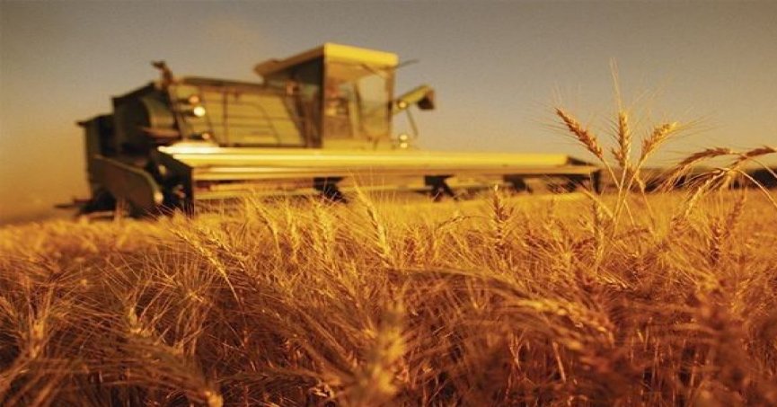 Tarım üretici enflasyonu yüzde 62 arttı