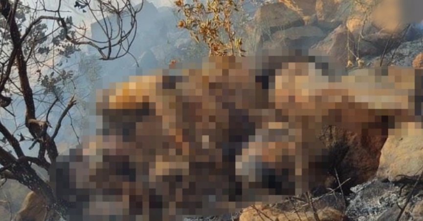 EMEK:İşçilerin yakılarak can vermemesi için birleşelim