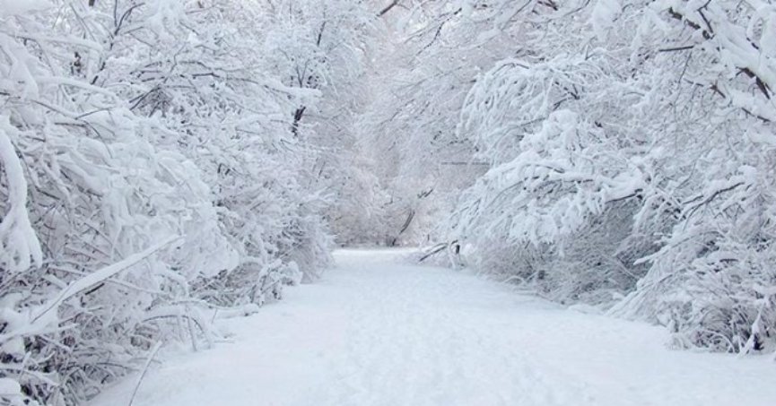 Meteoroloji  UYARDI!