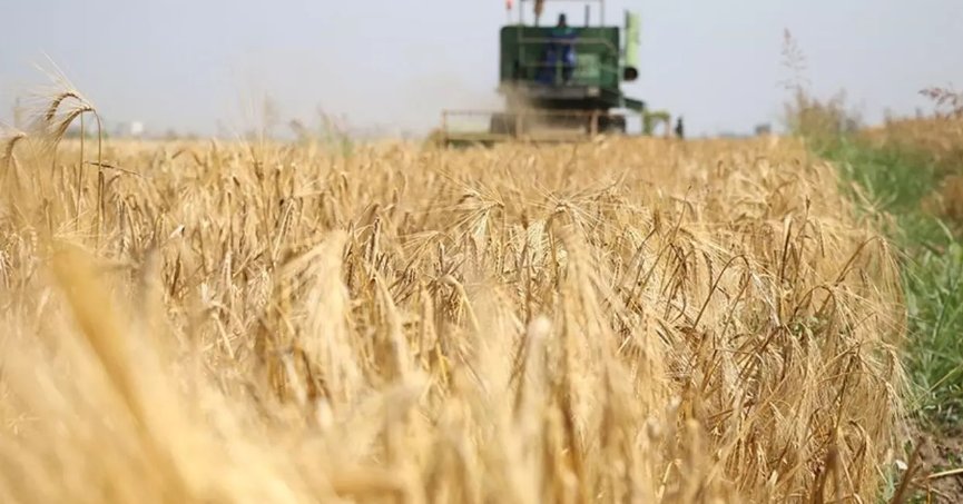 Tarımsal girdi fiyat endeksi arttı