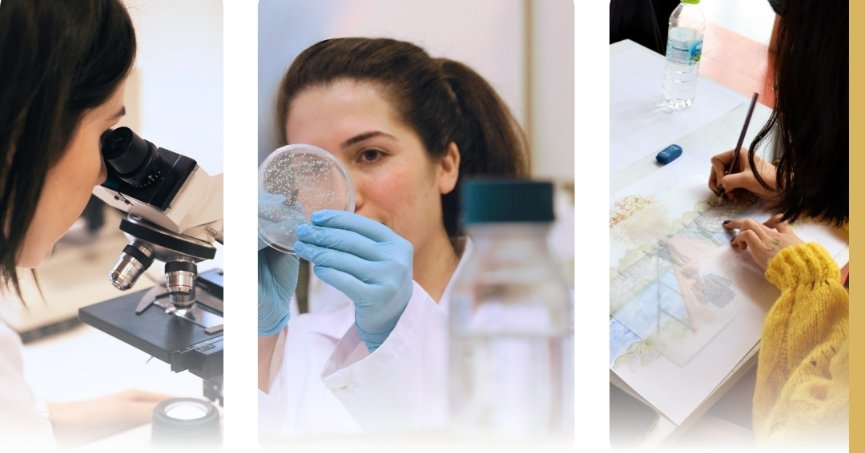 GTÜ, Mezunları En Hızlı İş Bulan Üniversite 