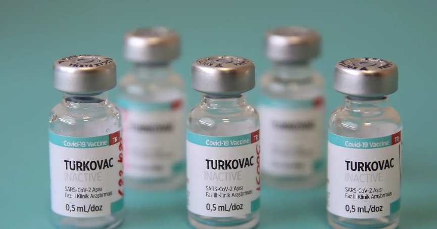 TURKOVAC AŞISININ AKIBETİ NE OLDU?