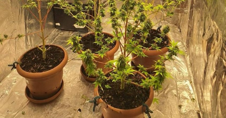 Evini uyuşturucu imalathanesine çevirmiş!