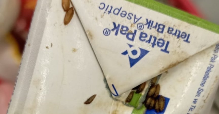 Markette ambalajı kurtlanmış süt çıktı!