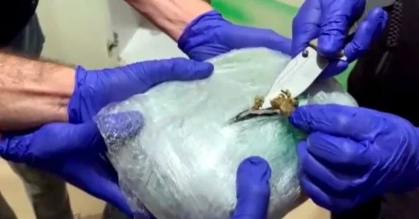 Uyuşturucu operasyonlarında 208 kişi yakalandı