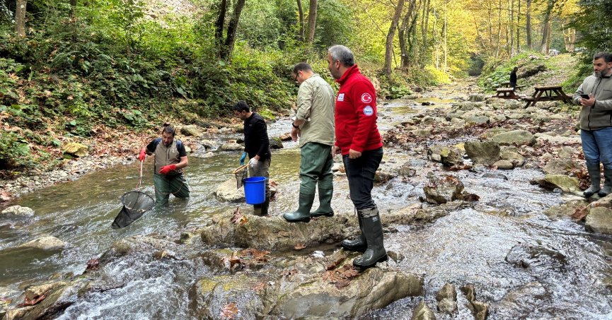 Büyükşehir’den dere ve tatlı sulara balık