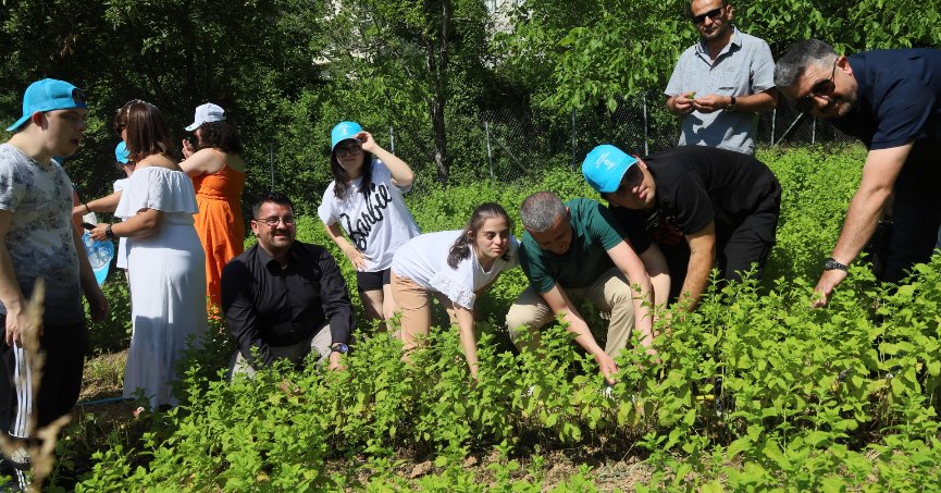Özel çocuklarımız sebze ve aromatik bitki yetiştiriyor