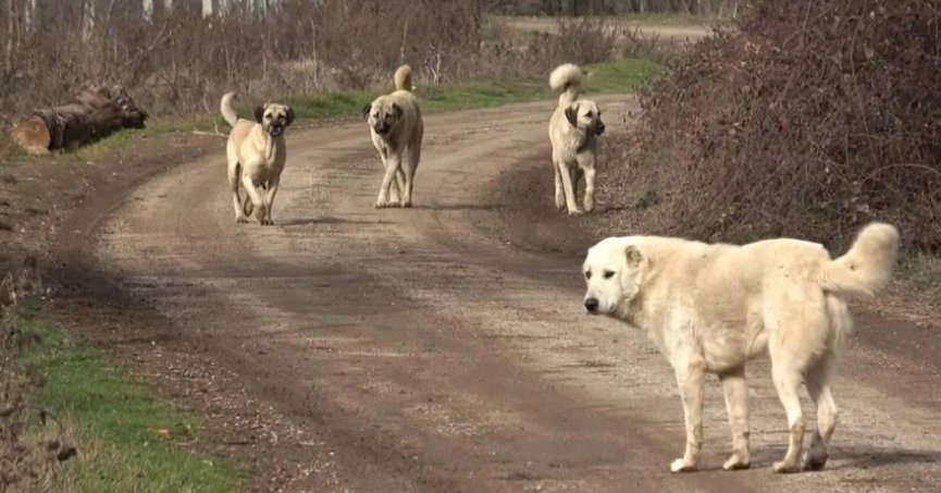 İşte yasa teklifinin son hali