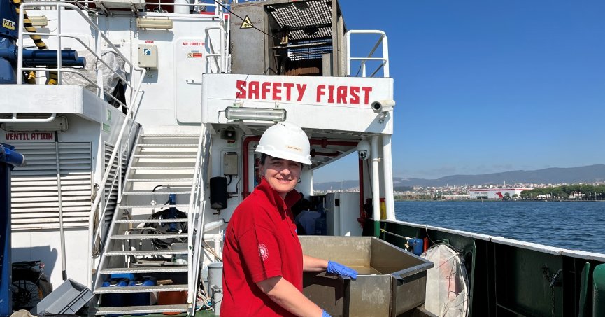 İzmit Körfezi’nde deniz ekosistemi hayat buluyor