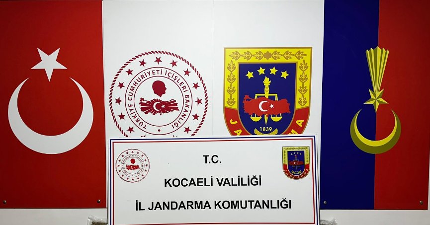 23 kilo Bonzai ele geçirildi