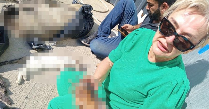  Failleri yargılanana kadar mücadele edeceğiz!