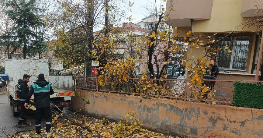 Derince’de Yeşil Alanlar ve Parklar Pırıl Pırıl