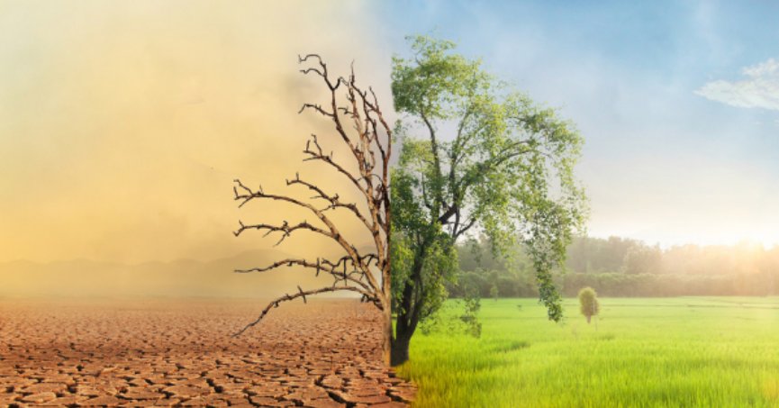  “SUYU KORUMAK, HEM BUGÜNÜN HEM DE YARININ GÜVENCE ALTINA ALINMASIDIR.”