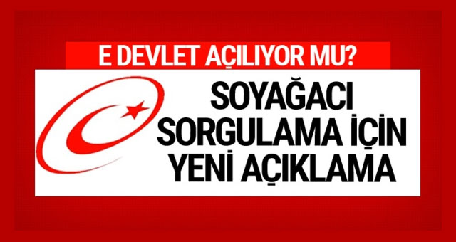 Soyağacına günlük kota geldi