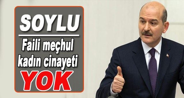 Soylu: Faili meçhul kadın cinayeti yok!