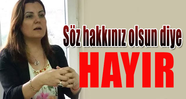 'Söz hakkınız olsun diye HAYIR'