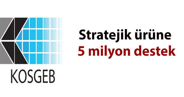 Stratejik ürüne 5 milyon destek