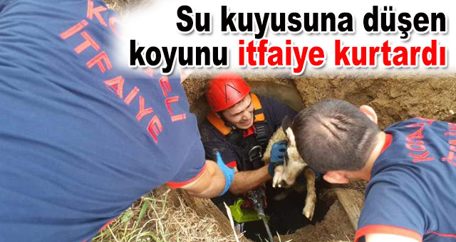 Su kuyusuna düşen koyunu itfaiye kurtardı