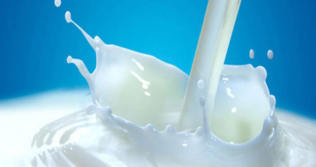 Süt ve süt ürünleri üretimi verileri açıklandı