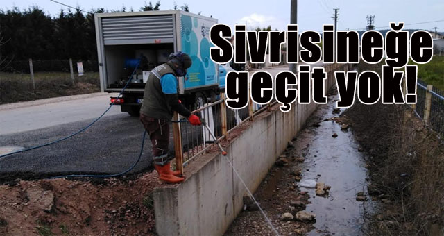 Svrisineğe geçit yok!