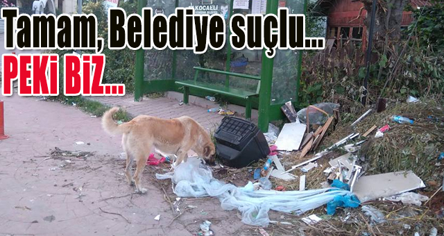 Tamam, Belediye suçlu...
