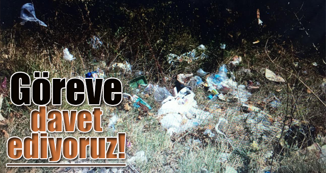 Tan, “Yaptım oldu mantığı ile göz boyuyorlar” 