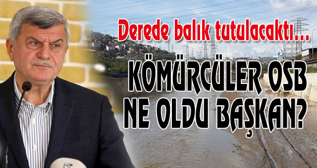 Tarhan:'seçim yaklaştı balık sezonu açıldı'
