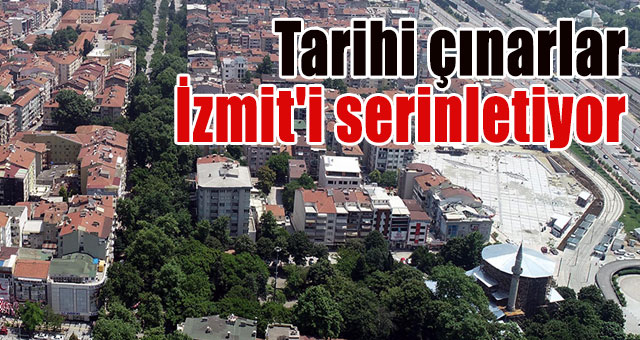 Tarihi çınarlar İzmit'i serinletiyor