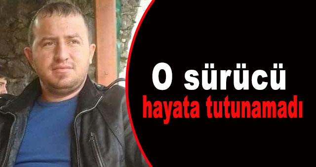 Tarlaya uçan kamyonun sürücüsü yaşamını yitirdi