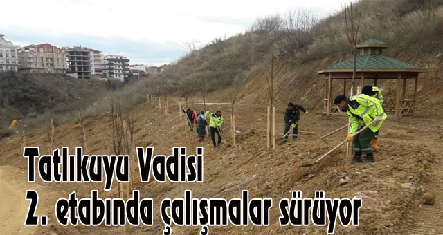 Tatlıkuyu Vadisi 2. etabında çalışmalar sürüyor