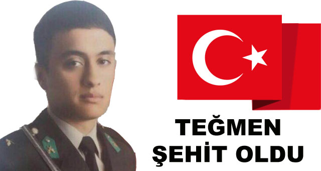 Teğmen Furkan Yayla şehit oldu