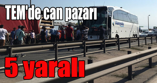 TEM'de can pazarı