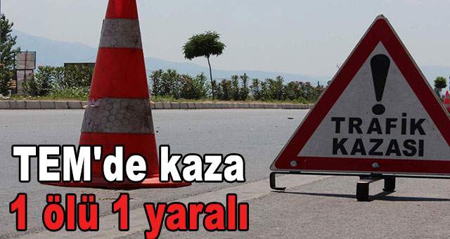 TEM'de kaza