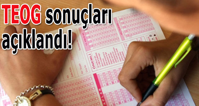 TEOG sonuçları açıklandı!