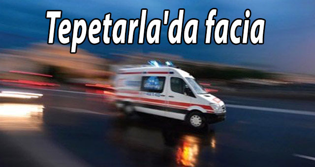 Tepetarla'da facia