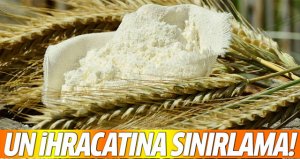 0 ürünün  İhracatına Sınırlama Getirildi