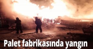 Palet fabrikasında yangın