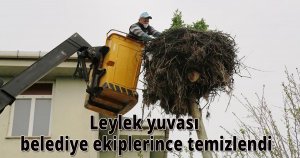 Leylek yuvası belediye ekiplerince temizlendi