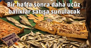 Bir hafta sonra daha ucuz balıklar satışa sunulacak
