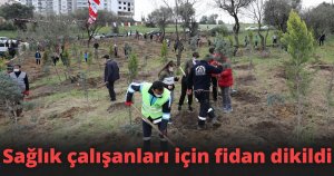 Sağlık çalışanları için fidan dikildi