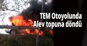 TEM Otoyolunda araç alev alev yandı