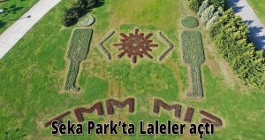 Seka Park’ta laleler çiçek açtı