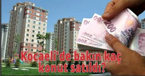 Kocaeli'de bakın  kaç konut satıldı?
