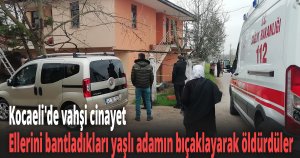 Ellerini bantladıkları yaşlı adamın bıçaklayarak öldürdüler