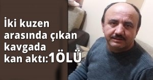 İki kuzen arasında çıkan kavgada kan aktı: 1 ölü